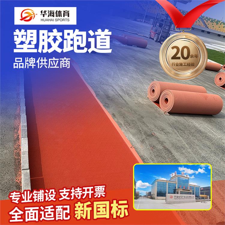 昭通市半预制跑道epdm颗粒 - 排名