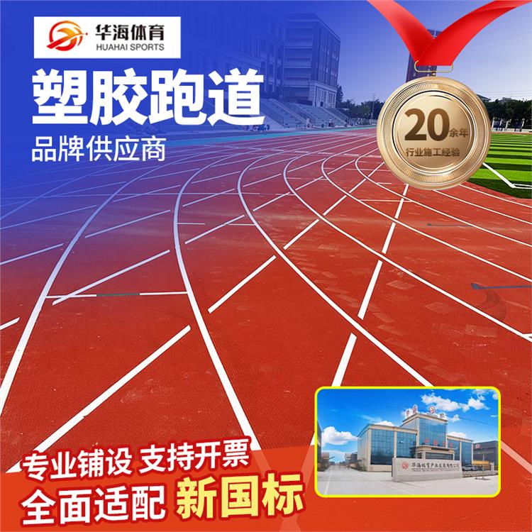 昭通市塑胶跑道预制型橡胶跑道 - 厂家